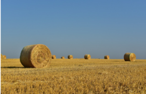 safe baler twine handling